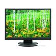 NEC MultiSync AS221WM NEC MultiSync AS221WM
