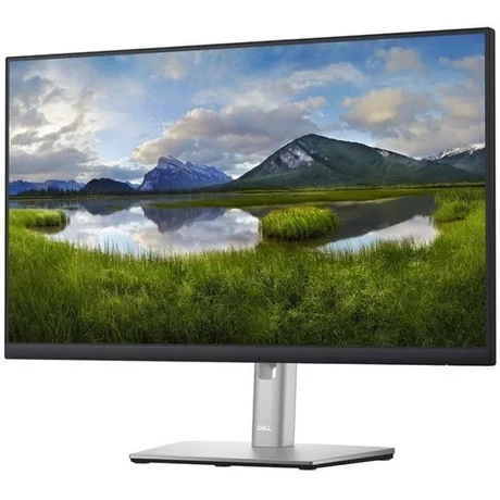 DELL P2422H: A-